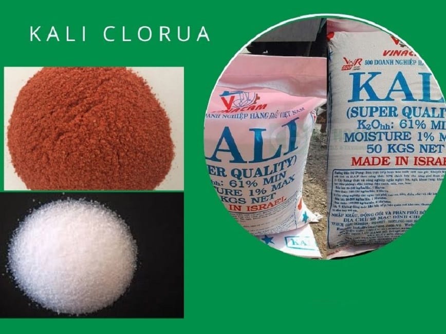 Có nhiều phương pháp để điều chế Kali clorua