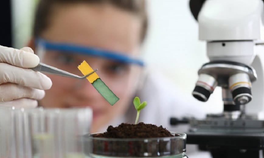 Kali clorat đóng vai trò quan trọng trong nhiều lĩnh vực