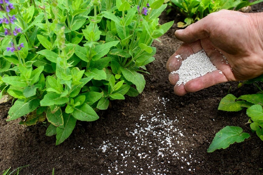 Những lưu ý cần thiết khi dùng kẽm sulfat
