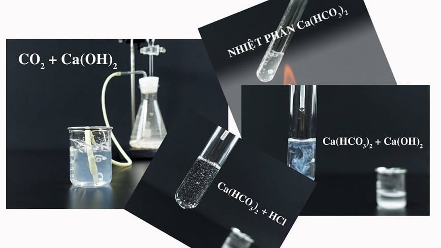 Canxi hiđrocacbonat sở hữu tính chất hoá học khá phong phú