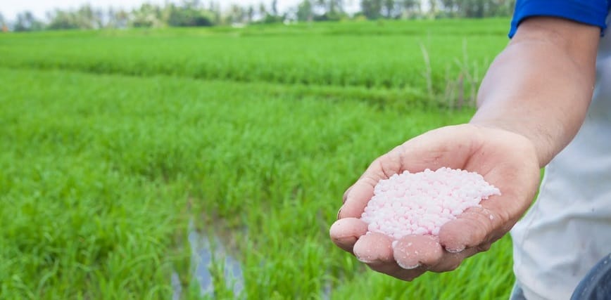 Canxi Nitrat được xem là người bạn đồng hành quan trọng của nông dân