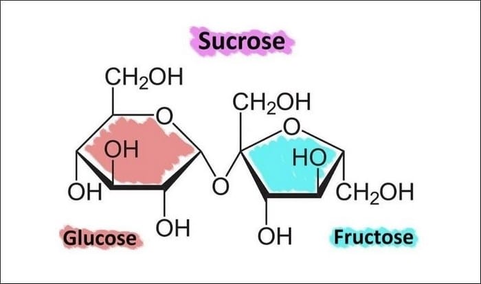 Công thức hóa học của đường saccharose