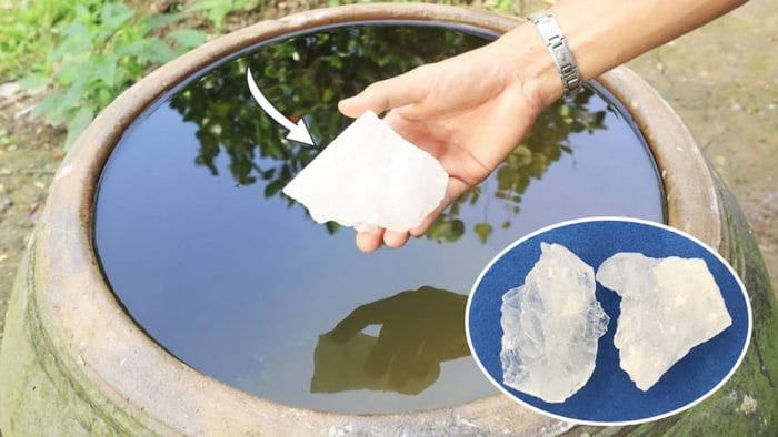 Từ lâu con người đã biết sử dụng phèn chua để làm trong nước