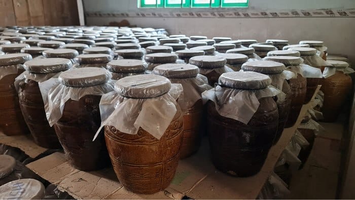 Bước ủ lên men rượu gạo trong các chum sành
