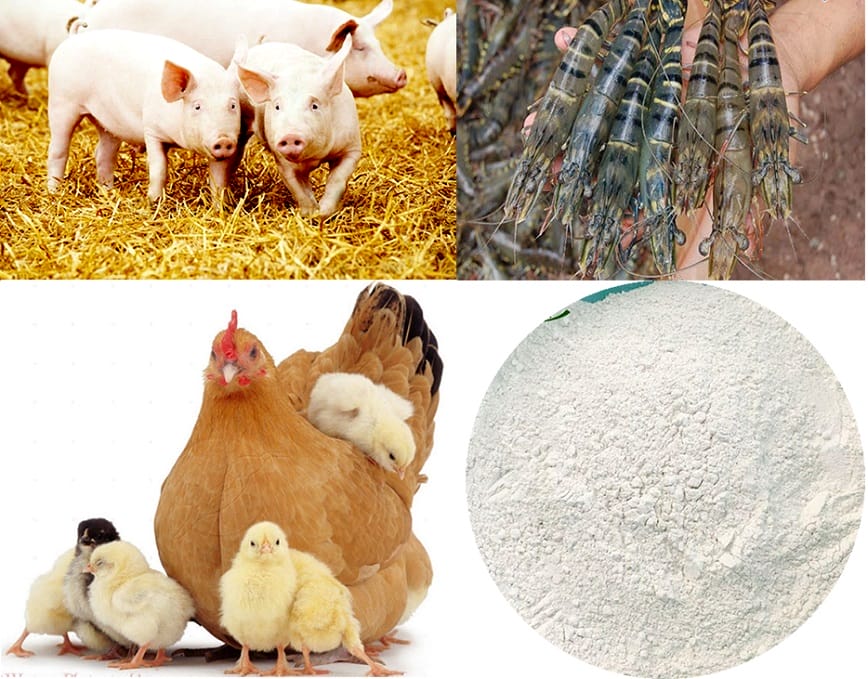 Hợp chất mang lại nhiều giá trị thực tiễn quan trọng
