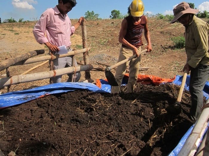 Cần ủ phân bò đúng quy trình để loại bỏ mùi hôi, mầm bệnh tiềm ẩn