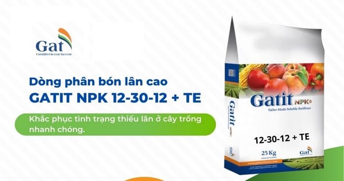 Sản phẩm phân bón GATIT NPK 12‑30‑12 + TE