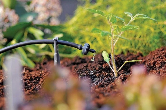 Phân bón GATIT hòa tan rất phù hợp mô hình tưới hiện đại