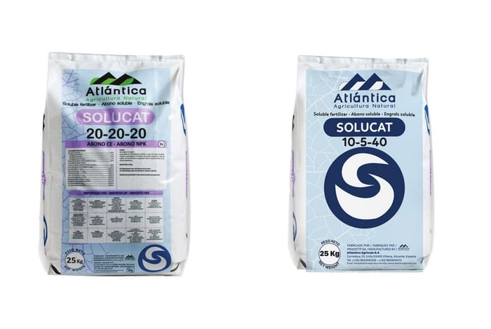Phân bón hòa tan Solucat của Tây Ban Nha được đánh giá cao vì giúp cây hấp thụ tốt hơn
