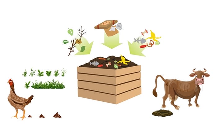 Thành phần phân chuồng còn tùy thuộc từng loại gia súc, gia cầm