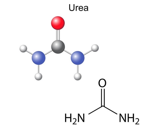 Cấu trúc phân tử của phân đạm Urê