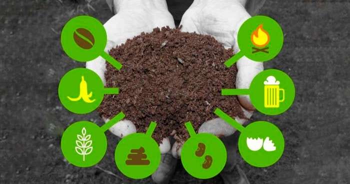 Các loại phân hữu cơ, cách lựa chọn phân phù hợp cho cây trồng