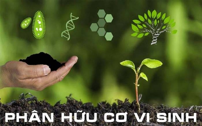 Phân hữu cơ vi sinh bổ sung thêm nhiều chủng vi sinh để cải thiện chất lượng nông sản, tăng đề kháng cho cây