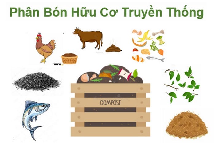 Các loại phân bón hữu cơ truyền thống đã được ứng dụng hàng trăm năm tại Việt Nam