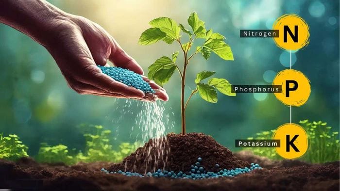 Phân bón NPK là sản phẩm tổng hợp chứa Nitơ (N), Phốt pho (P), Kali (K)