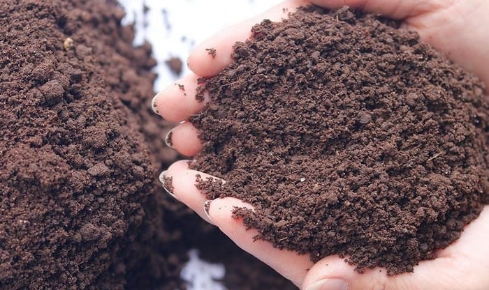 Phân bón trùn quế chứa hàm lượng dinh dưỡng cao và dễ tiêu, sẵn sàng cho cây hấp thu ngay
