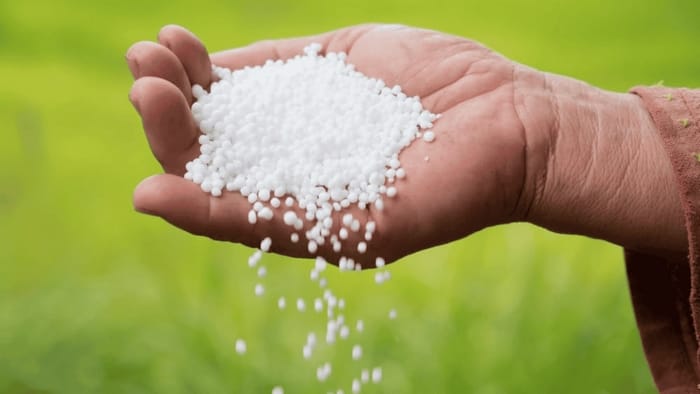 Các tính chất hóa học và cách sử dụng hiệu quả phân Ure
