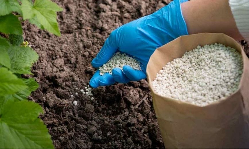 Để sản xuất một số loại phân bón, người ta cần dùng đến H3PO4