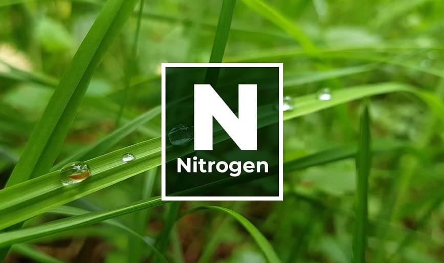 N2 và ứng dụng to lớn trong mọi lĩnh vực