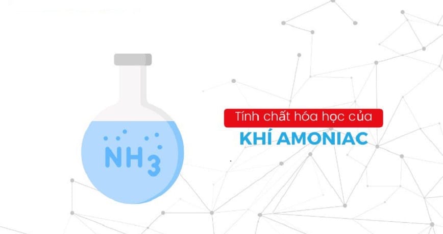 NH3 sở hữu các đặc điểm của bazơ và chất khử