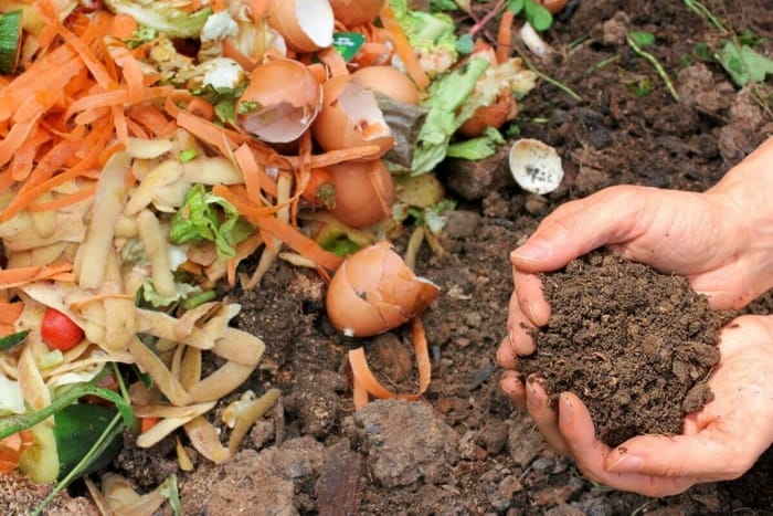 Tham khảo cách ủ phân hữu cơ đơn giản và không bị mùi