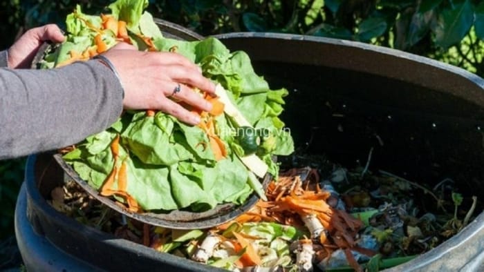 Hình 4: Tham khảo về cách ủ phân hữu cơ từ rau củ đơn giản và dễ làm
