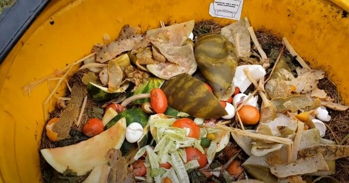 Hình 5: Chuẩn bị đầy đủ nguyên liệu để có cách ủ phân hữu cơ từ rau củ