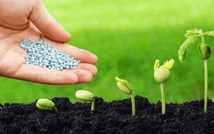 Hình 2: Kiến thức chuyên môn - đặc điểm vật lý của phân NPK 16 - 16 - 8