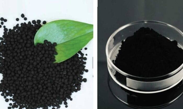 Phân bón Humic - công dụng và cách sử dụng hiệu quả
