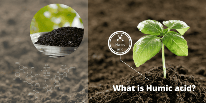 Hình 5: Tham khảo cách sử dụng phân bón Humic hiệu quả