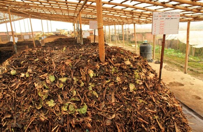 Hình 3: Phân bón hữu cơ vi sinh sẽ có 6 loại chính