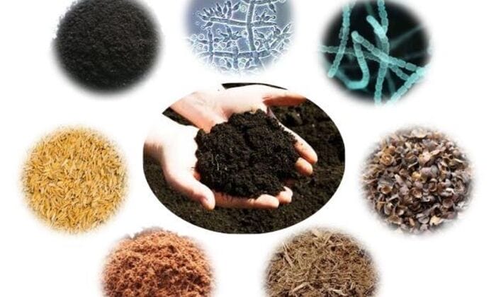 Hình 4: Ưu điểm vượt trội của phân bón hữu cơ vi sinh trong nông nghiệp