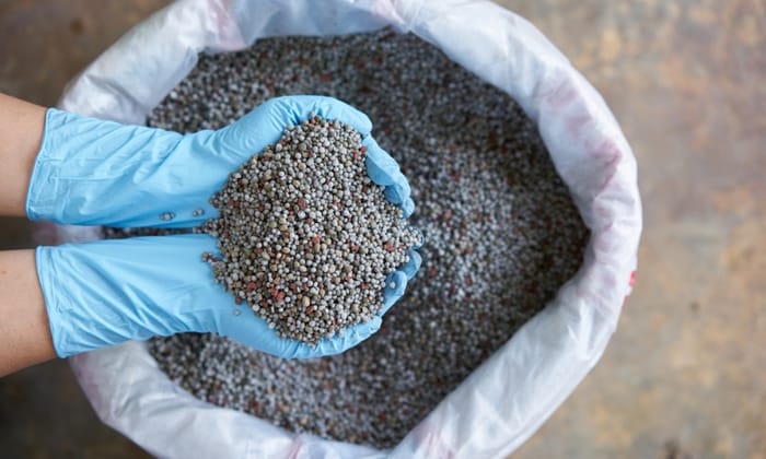 Phân bón vi lượng - vì sao cần phải sử dụng phân vi lượng