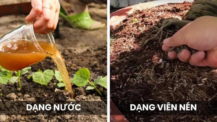 Hình 2: Các loại phân đạm cá được sử dụng phổ biến hiện nay
