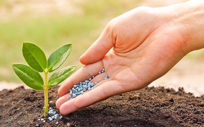 Hình 1: Nguồn gốc và thành phần chính có trong phân Đầu Trâu
