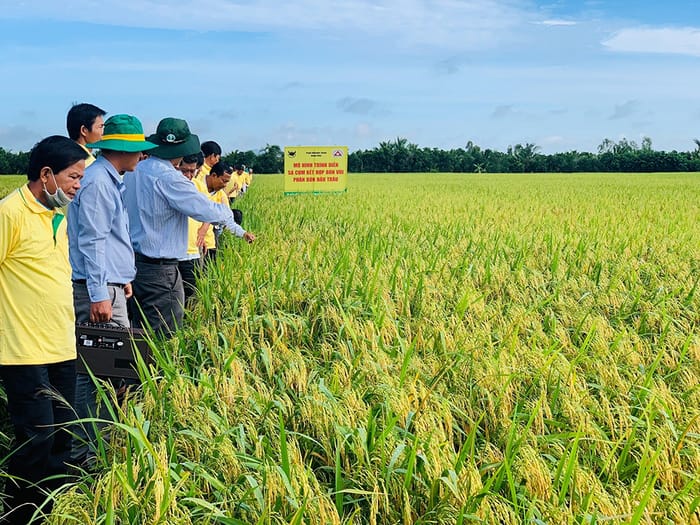 Hình 2: Thành phần Đạm ( N ) - thành phần quan trọng trong quá trình phát triển của cây