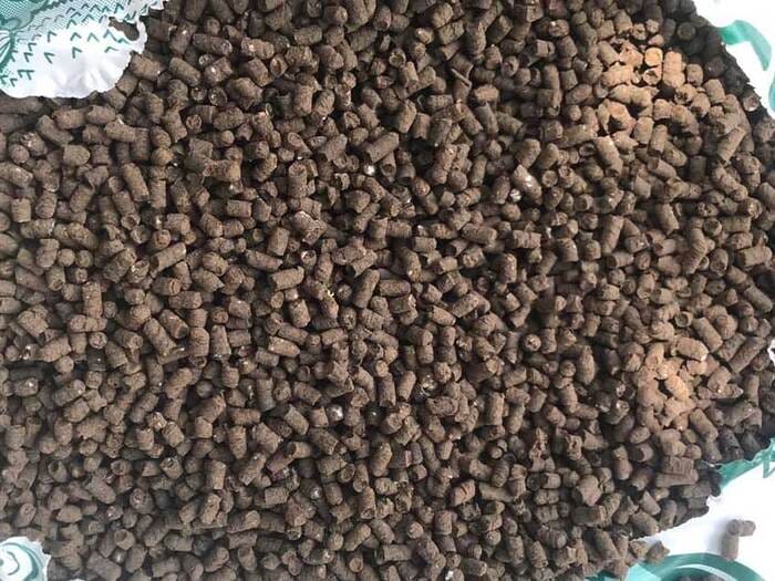 Hình 3: Phân gà hữu cơ dạng viên nén được sử dụng phổ biến