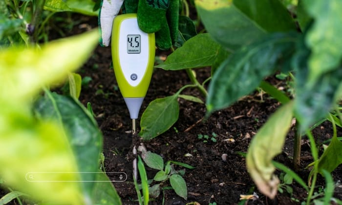 Hình 4: Tổng hợp các loại phân Humic được sử dụng phổ biến