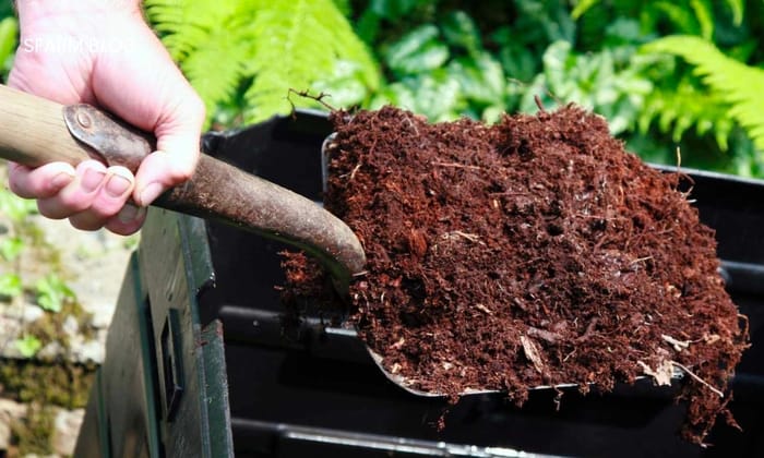 Hình 5: Tác dụng chính của phân Humic đối với đất và cây trồng
