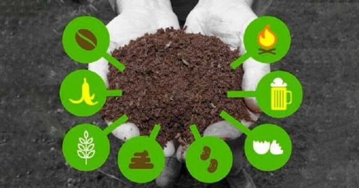 Hình 3: Tổng hợp các loại phân bón Organic được sử dụng phổ biến trên thị trường