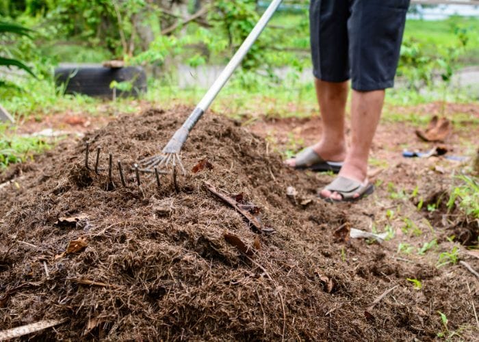 Hình 4: Phân hữu cơ có khả năng cung cấp đến nguồn dinh dưỡng từ từ