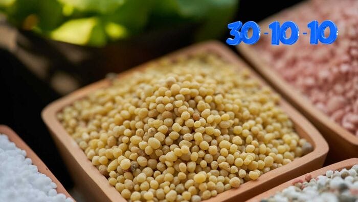 Phân NPK 30 - 10 - 10 hiệu quả cho sự phát triển cây trồng