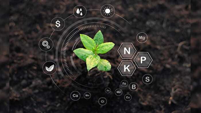 Hình 2: Công dụng chính của phân NPK 30 - 10 - 10