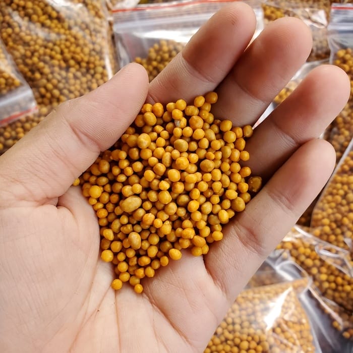 Hình 2: Ưu điểm của phân bón tan chậm mà bạn không thể bỏ qua