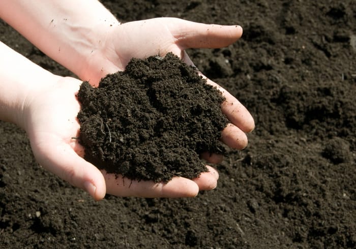 Hình 3: Đặc tính vật lý và sinh học của phân trùn quế Sfarm
