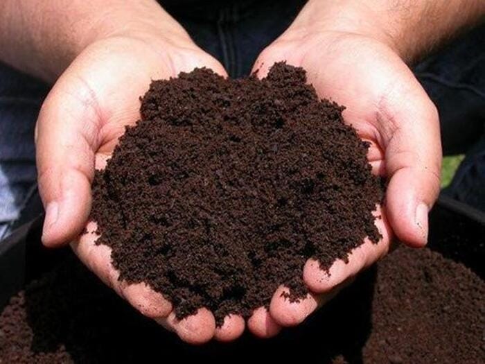 Hình 5: Tác dụng tuyệt vời của phân trùn quế Sfarm