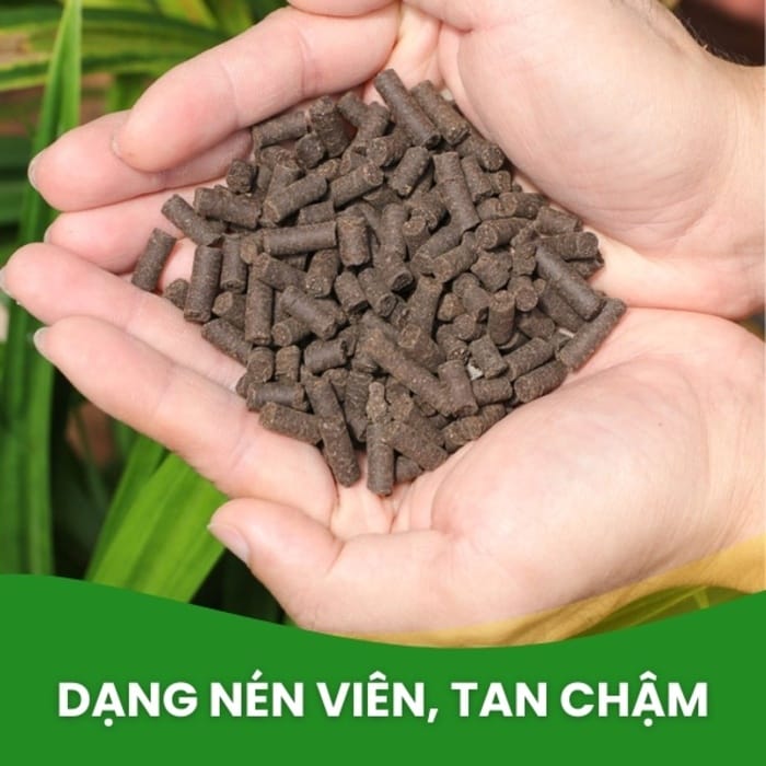 Hình 2: Thành phần hóa học có trong phân trùn quế viên nén
