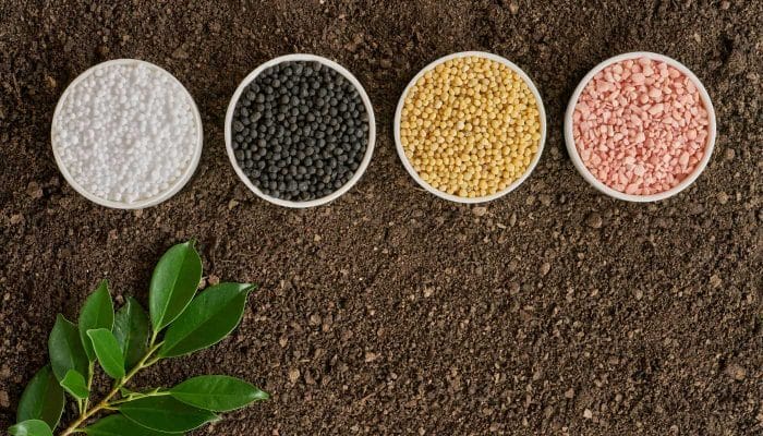 Hình 2:Phân bón hữu cơ có công dụng như thế nào?