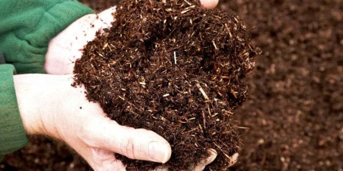 Hình 3: Phân bón hữu cơ giúp cải thiện được độ phì nhiêu của đất