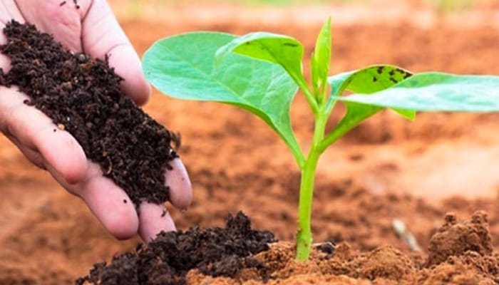 Hình 4: Quy trình sản xuất phân bón hữu cơ tối ưu và đúng chuẩn